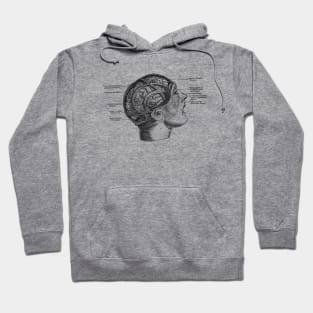 Fissure Focused Brain Diagram - Vintage Anatomy Hoodie